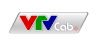 VTVCab